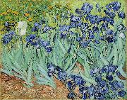 Vincent Van Gogh Irises France oil painting artist
